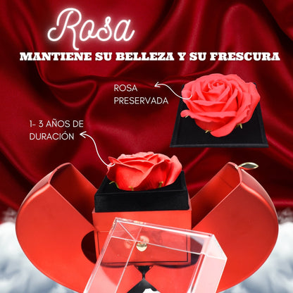 Rosa Eterna + Collar De Regalo + Carta dedicatoria