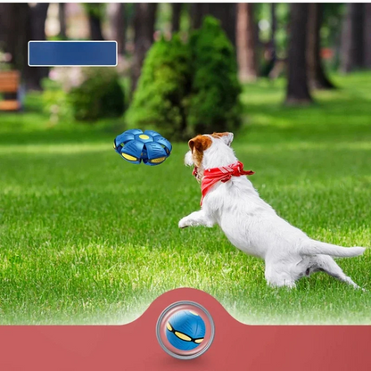 BallSoar™ | Pelota Voladora para Perros