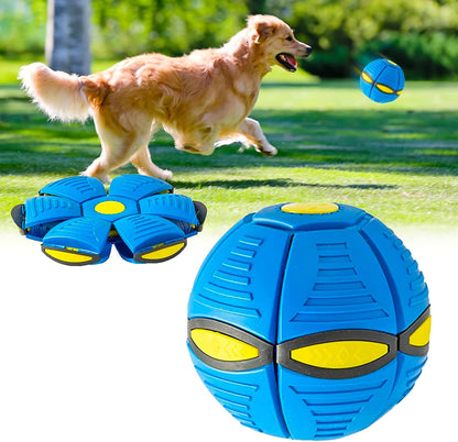 Pelota voladora para mascotas