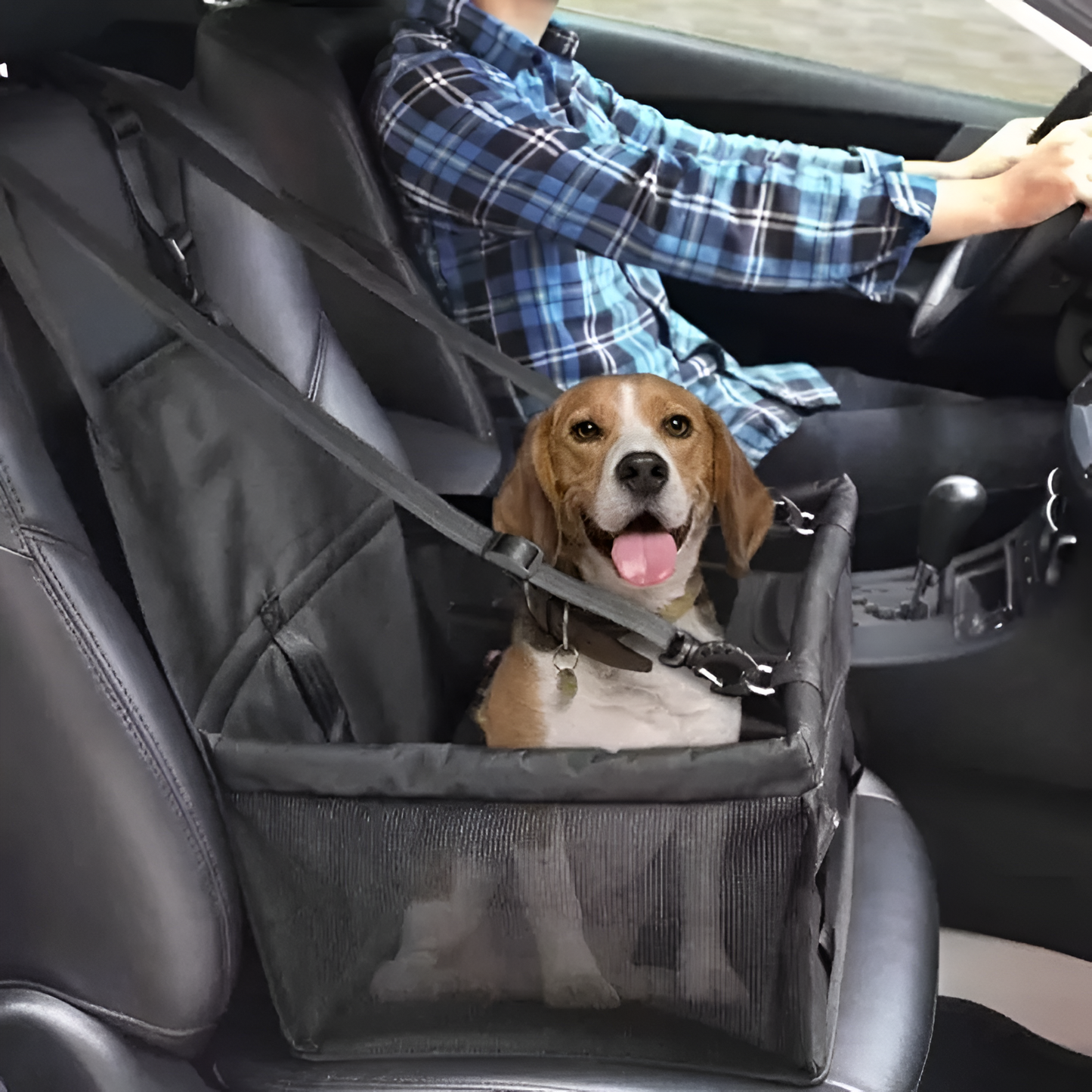 PeTransporti - Asiento de Coche para Mascota (OFERTA EXCLUSIVA)