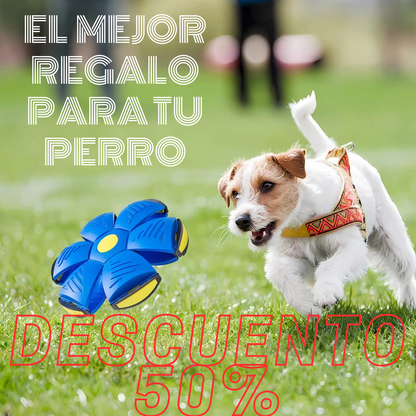 FlyBall™ - Pelota Interactiva Mascotas