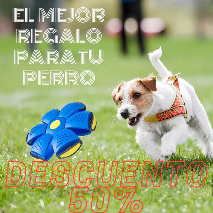 FlyBall™ Pelota Voladora para Perros - (2x1 LIQUIDACIÓN POR CIERRE)