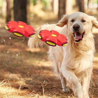 Pelota Voladora Para Perros - PetBall™