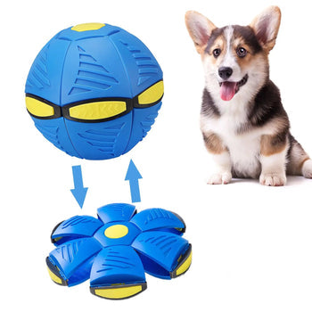 FlyBall™ Pelota Voladora (OFERTA 2x1)