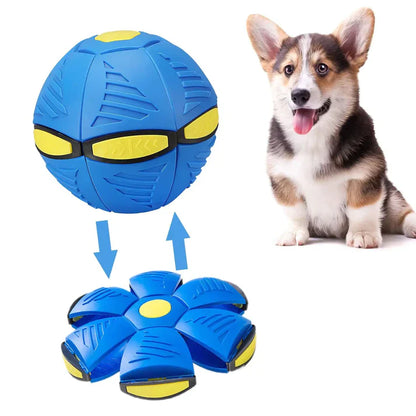 FlyBall™ Pelota Voladora para Perros - (2x1 LIQUIDACIÓN POR CIERRE)