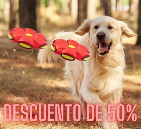 FlyBall™ Pelota Voladora (OFERTA 2x1)