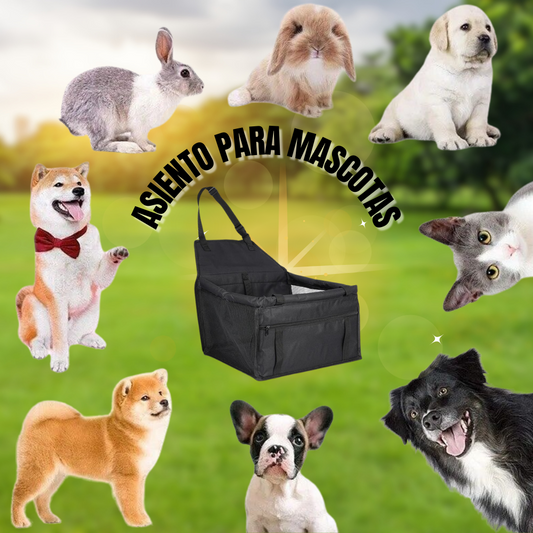 PeTransporti - Asiento de Coche para Mascota (OFERTA EXCLUSIVA)