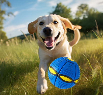 Pelota Voladora Para Perros - PetBall™